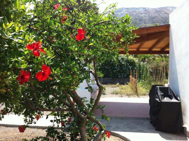 Villa By The Vulcano - 70Mq Plus Large Garden And Patio Exteriör bild